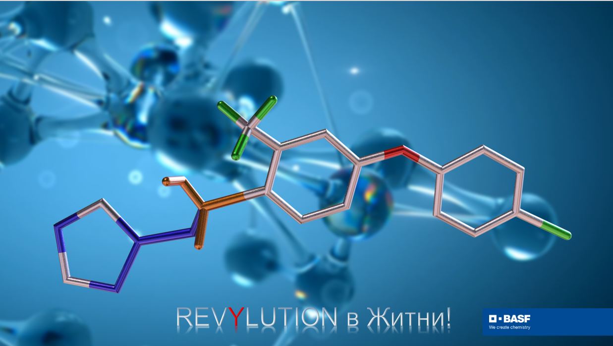 Molekula-1-BG.jpg
